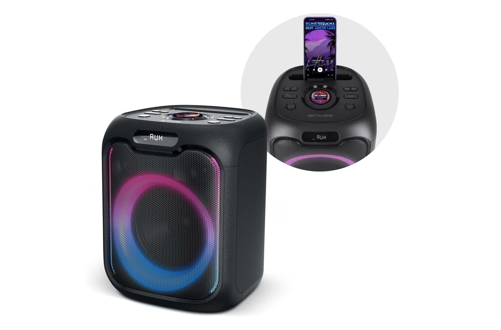M-1803 | Muse Party Speaker met Microfoon 150W 1