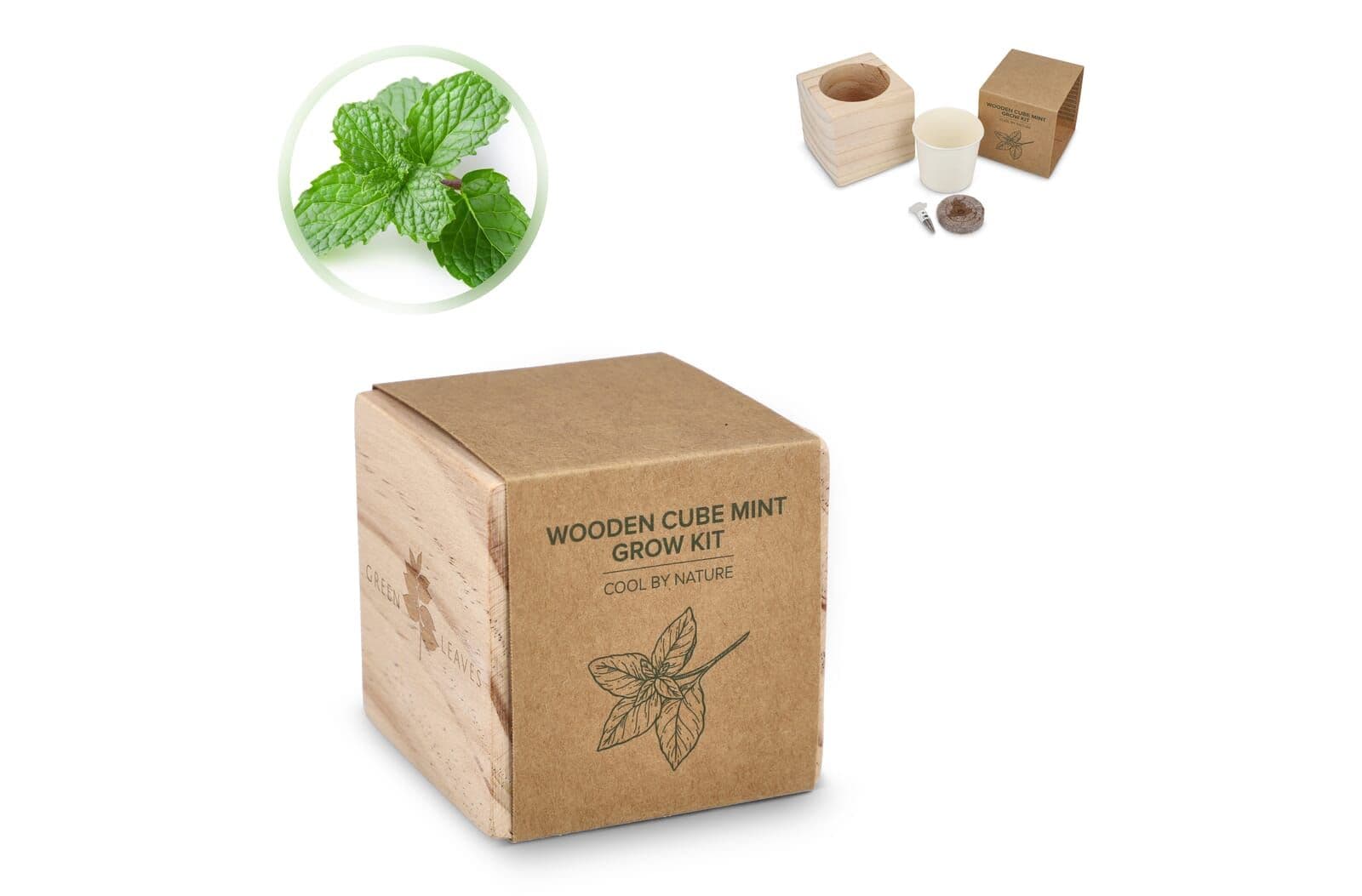 FSC Houten Plantenbak Set – Mint 1