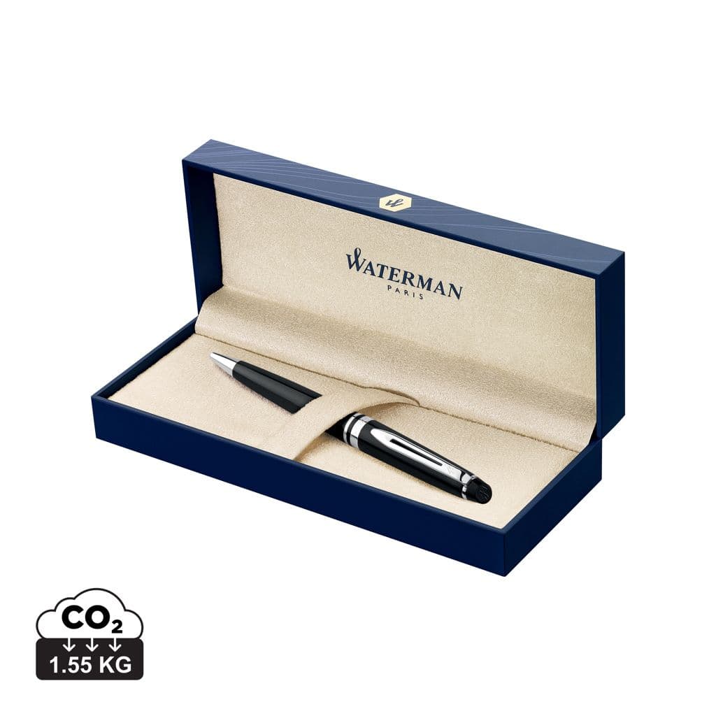 Waterman EXPERT CT pen black 1